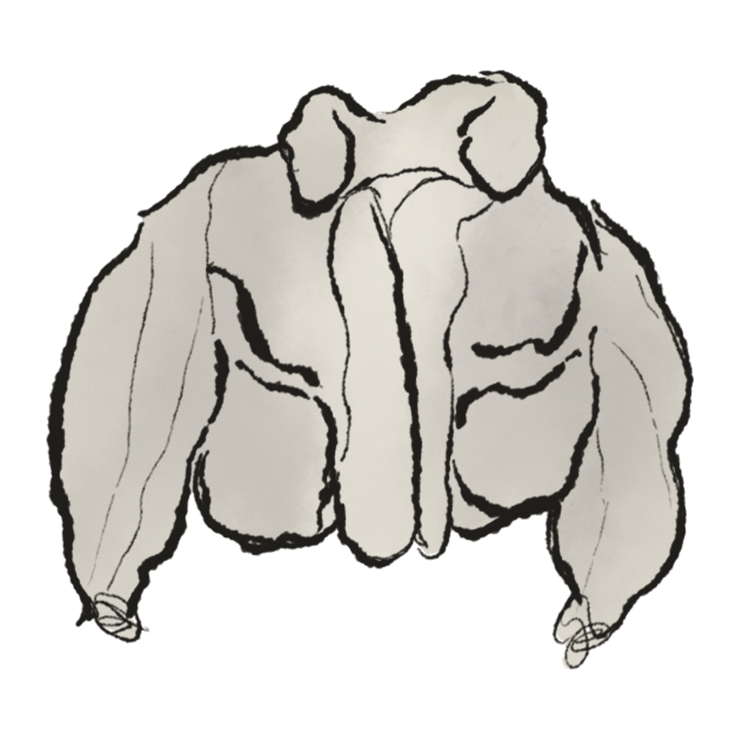 Yeezy Hummingbird Jacket product image