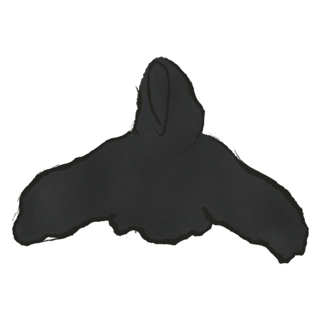 Yeezy Cutie Hoodie product image
