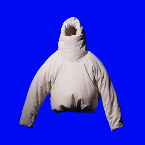 Yeezy record image