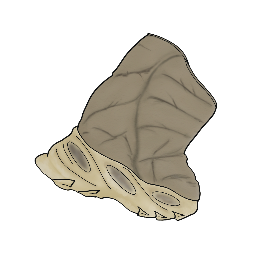 Yeezy NSLTD BT (Chunky Boot) product image