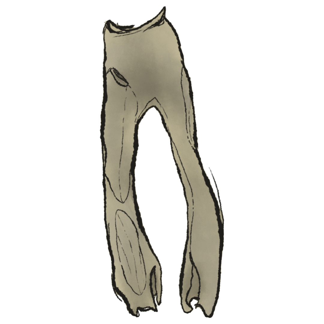 Yeezy Jersey Padded Pant product image