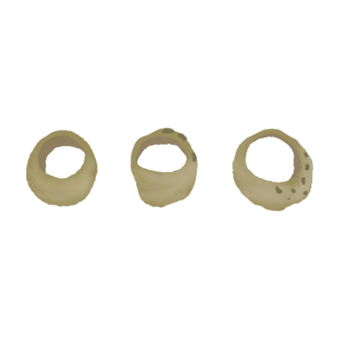 Yeezy Gold Rings product image
