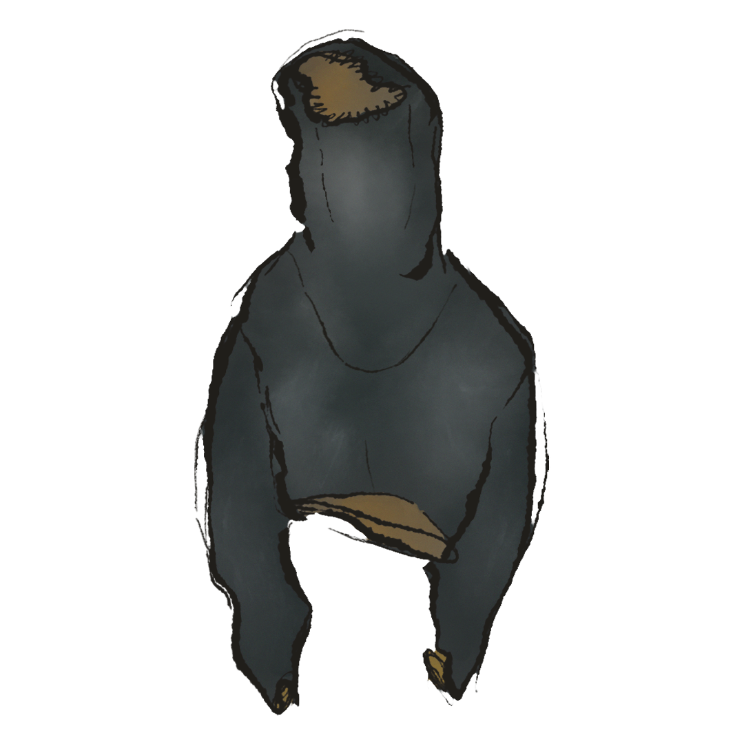 Yeezy Rubberized Pullover Hooded Jkt product image