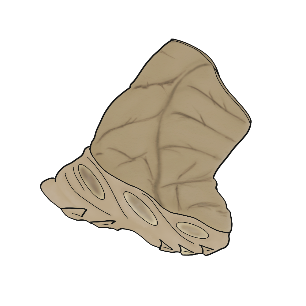 Yeezy NSLTD BT (Chunky Boot) product image