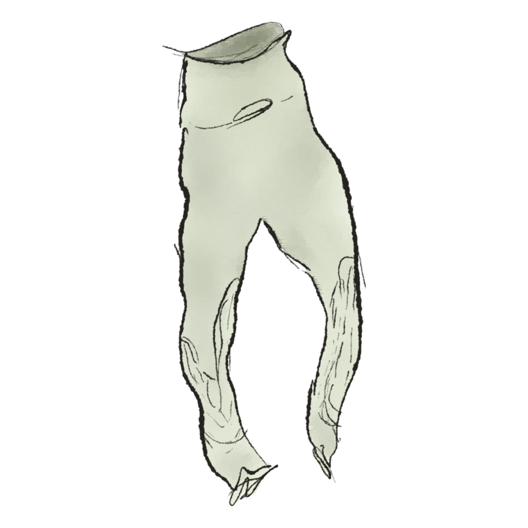 Yeezy Jersey Padded Pant Prototype product image