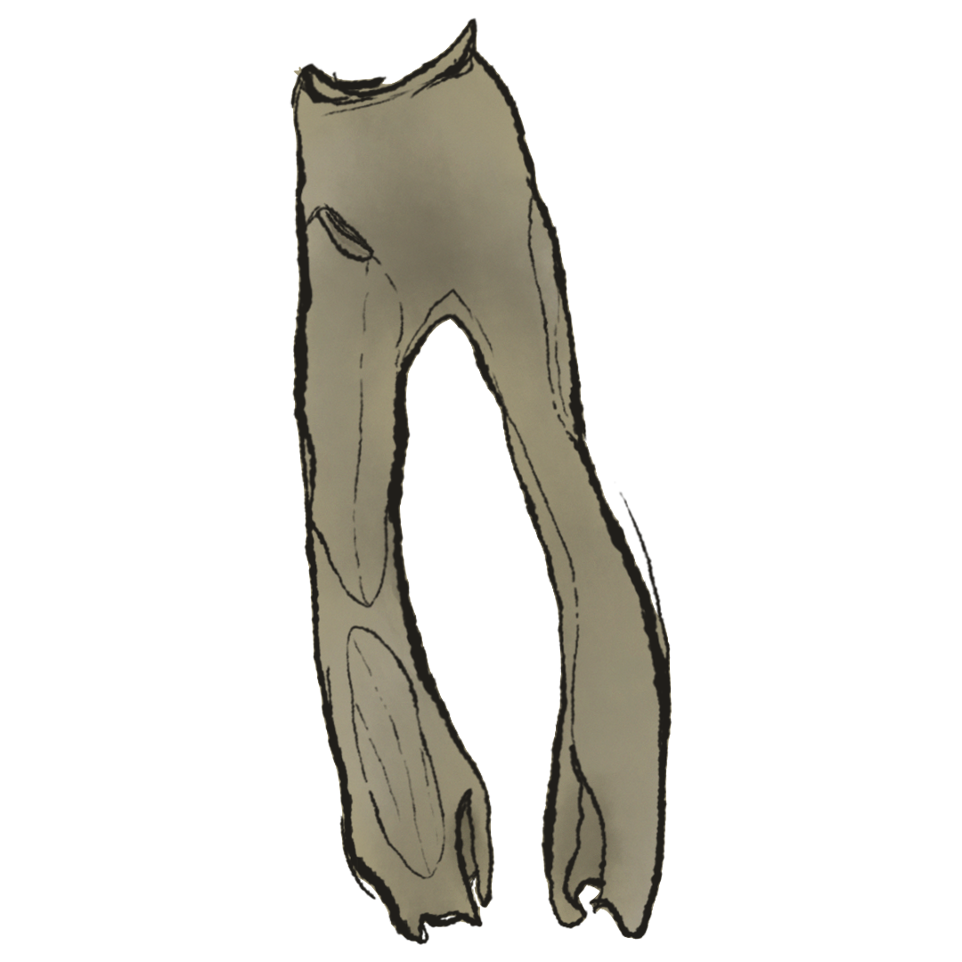 Yeezy Jersey Padded Pant product image