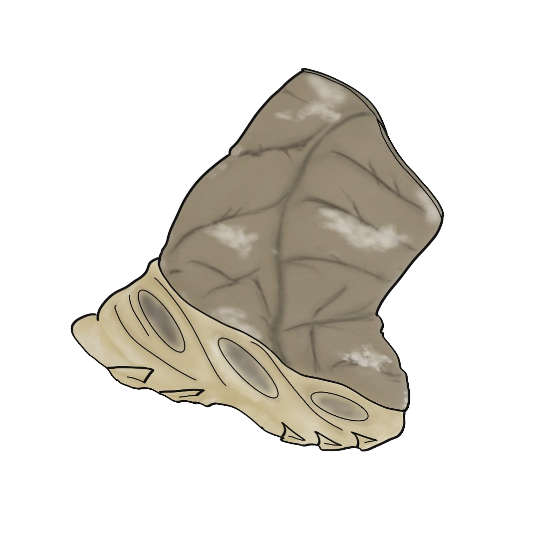 Yeezy NSLTD BT Khaki product image