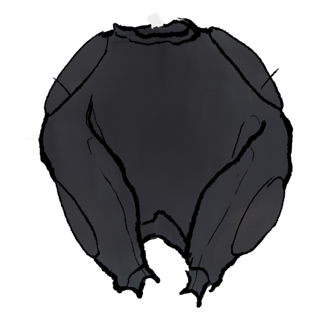 Yeezy Padded Sweatshirt product image