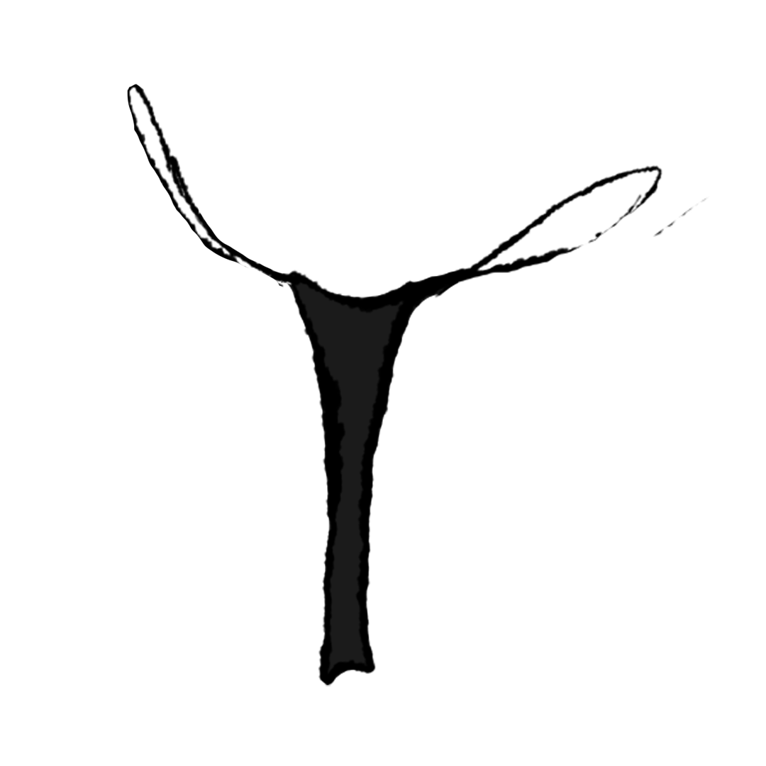 Yeezy YZY BLACK WET THONG product image