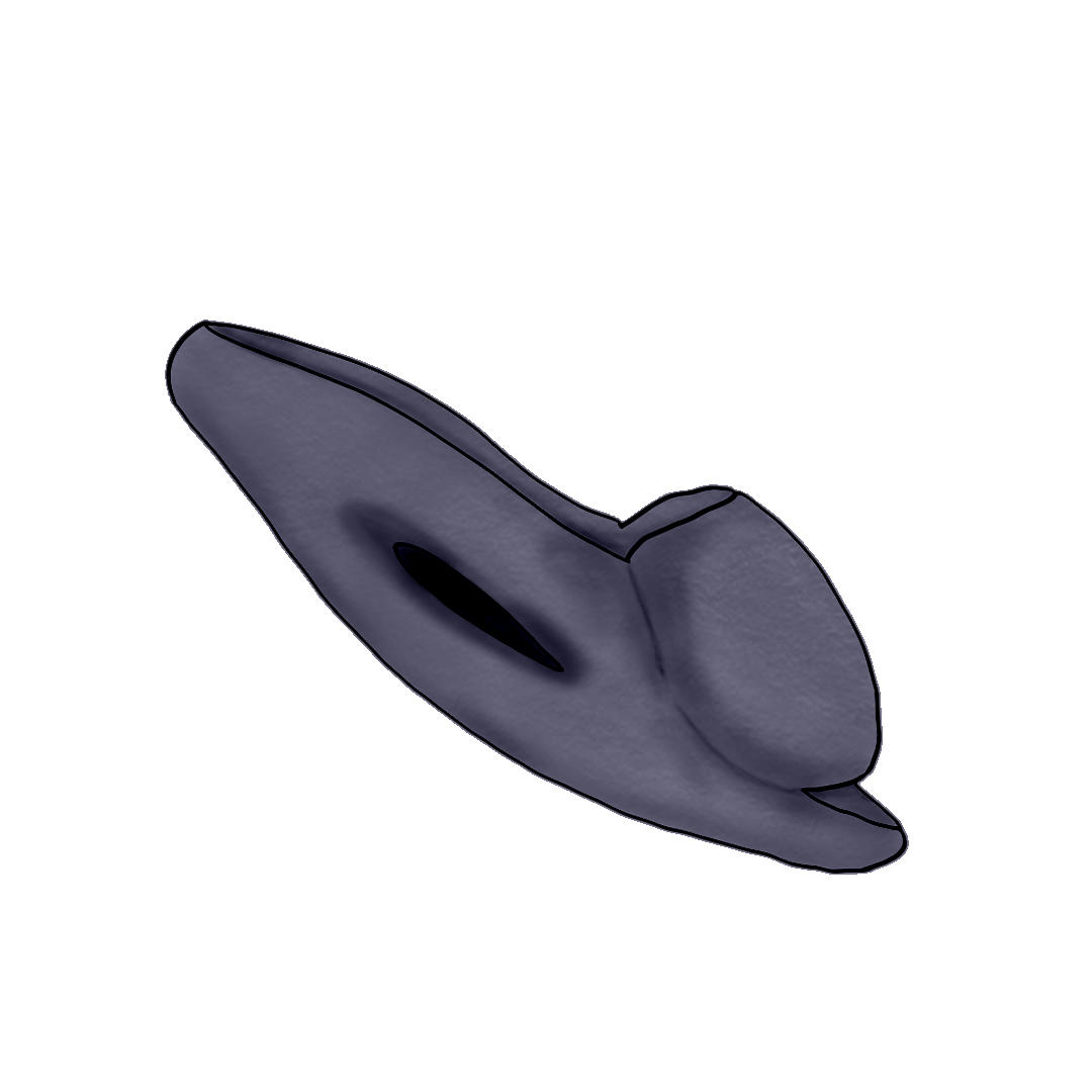 Yeezy 3D Slide (Netto Slide) product image