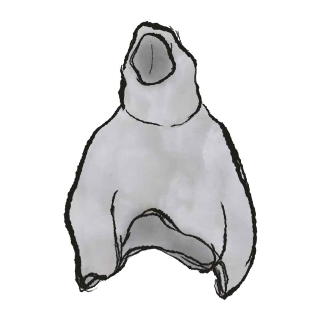 Yeezy Wool-Felted Pullover Hood Jkt product image